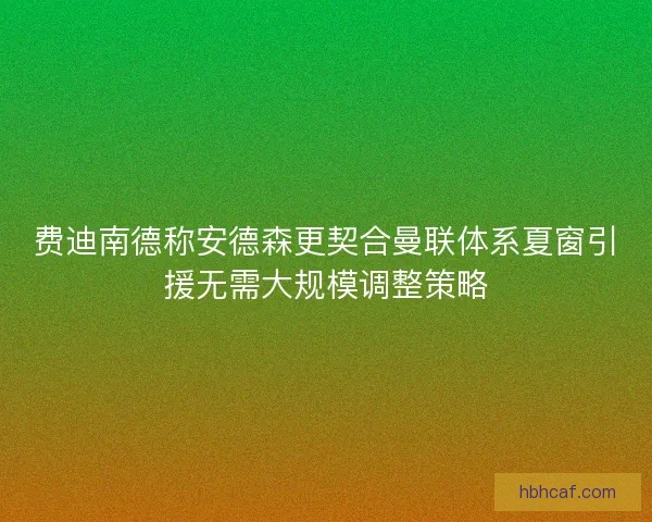 费迪南德称安德森更契合曼联体系夏窗引援无需大规模调整策略