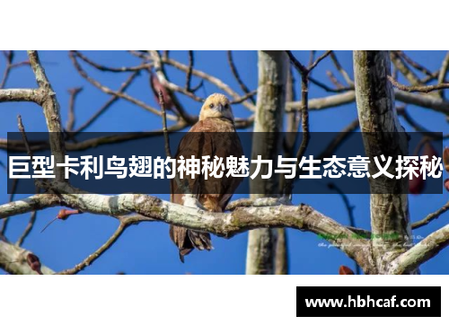 巨型卡利鸟翅的神秘魅力与生态意义探秘