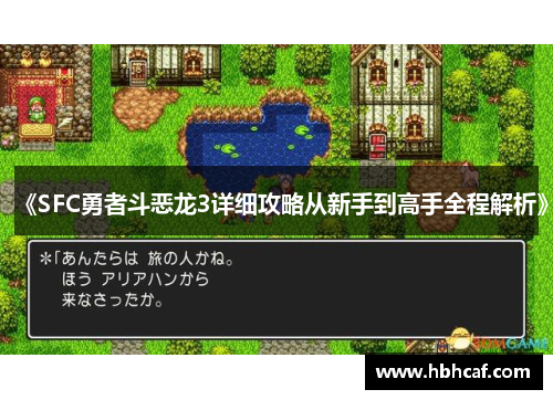 《SFC勇者斗恶龙3详细攻略从新手到高手全程解析》