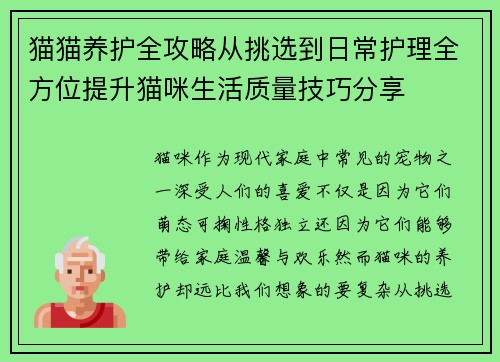 猫猫养护全攻略从挑选到日常护理全方位提升猫咪生活质量技巧分享